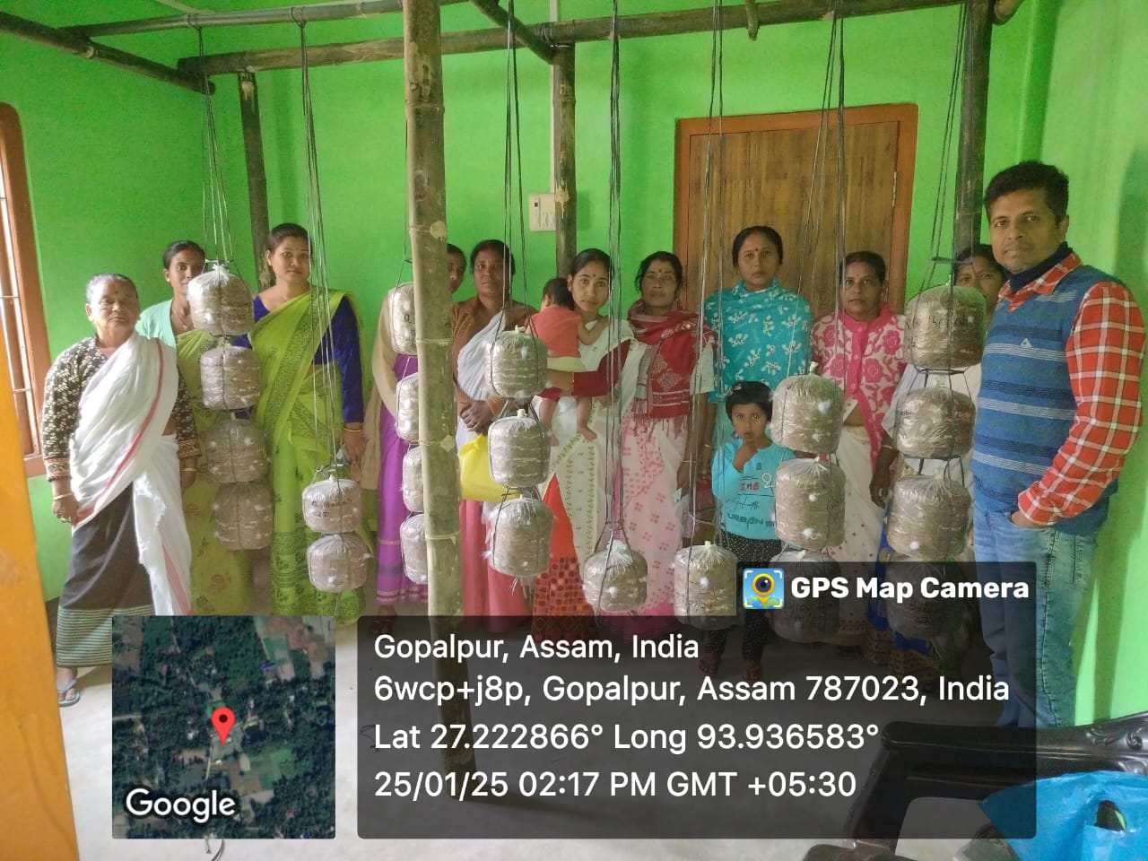 Mushroom grow bags ready for cultivation